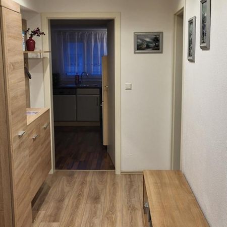 Holiday Apartment 弗罗伊登施塔特 外观 照片